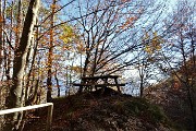 16 Angolo pic-nic